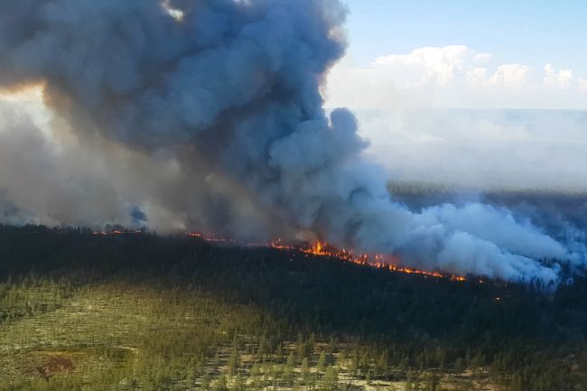 Lesné požiare v Rusku majú už viac ako desať obetí vrátane detí