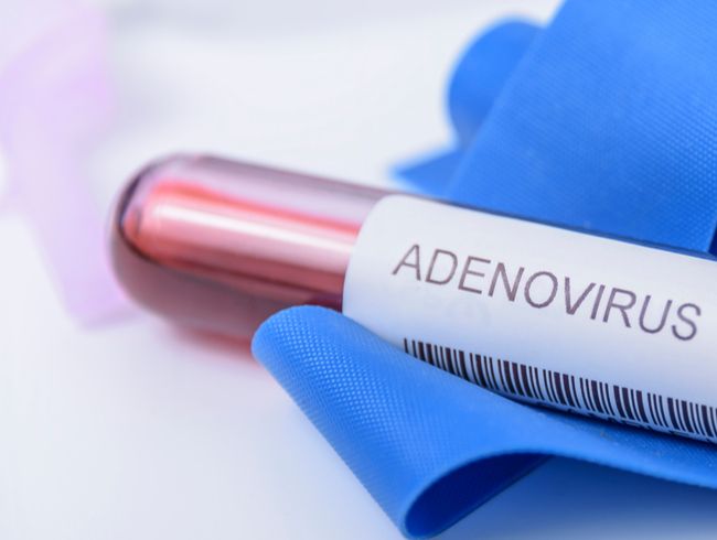 WHO vyšetruje súvislosť záhadnej hepatitídy s adenovírusom a covidom
