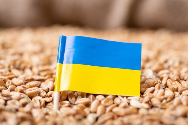 Ukrajina žiada o pomoc pri vývoze miliónov ton obilia