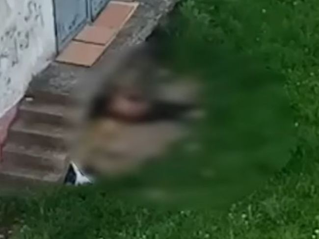 Video: Muž sa pri bytovke sexuálne uspokojoval na fene