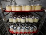 Spojené štáty zápasia s nedostatkom umelého mlieka pre dojčatá