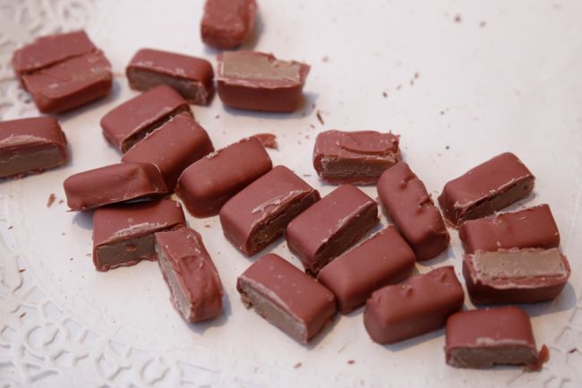 V najväčšej továrni na čokoládu potvrdili salmonelu