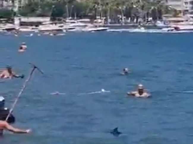 Video: Turisti si mysleli, že pri nich pláva žralok. Použili mop