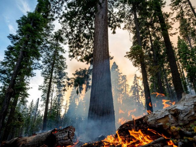 Požiar v Yosemitskom národnom parku ohrozuje vzácne sekvoje
