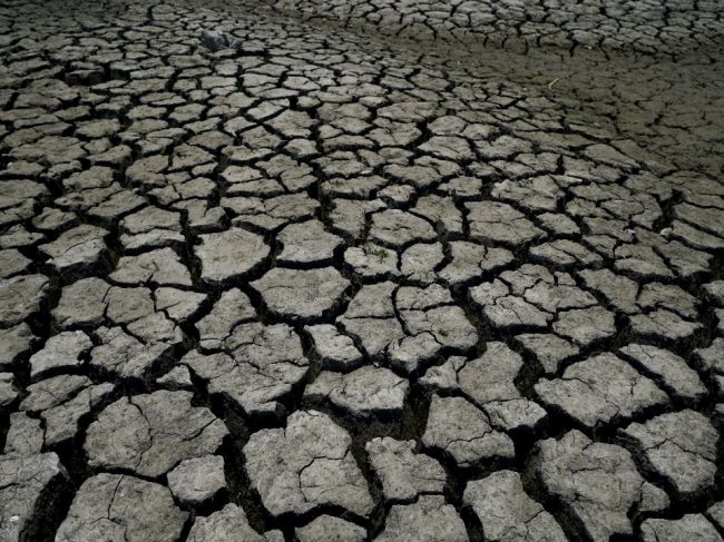 Mexiko chce znížiť výrobu piva v oblastiach postihnutých suchom