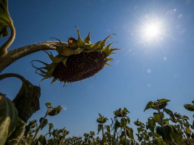 Európa zaznamenala najteplejšie leto v dejinách meraní