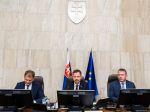 Ministrom slovenskej vlády zmrazia platy