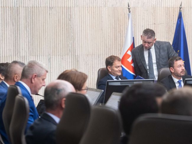 Ceny elektriny a plynu v situácii núdzového stavu bude určovať vláda