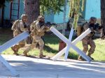Mnohonárodná bojová skupina NATO na Slovensku je oficiálne funkčná