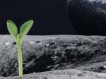 Dokážu rastliny prežiť na Mesiaci? Ambiciózny start-up pomôže nielen Zemi, ale aj vesmírnym agentúram