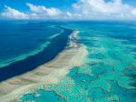Napriek snahám Austrálie je Veľká koralová bariéra stále v ohrození