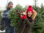 Ako kúpiť ten najlepší vianočný stromček? Toto si všímajte a neobanujete
