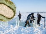 Nová hrozba pre ľudstvo: Vedci oživili zombie vírus, ktorý bol 48 500 rokov v ľade