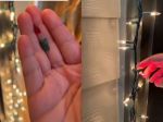 ​Video: Našli ste v balení vianočných svetielok „náhradnú“ žiarovku? Na toto v skutočnosti slúži