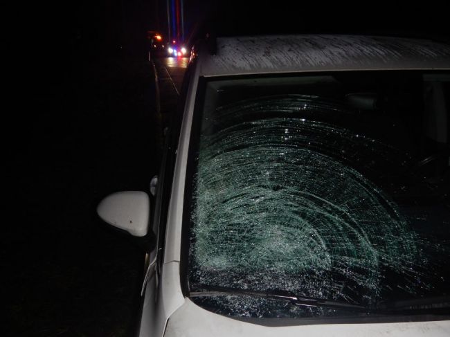 Na R1 došlo k tragickej nehode, 14-ročné dievča zrážku neprežilo