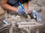 Polícia objavila nelegálne zbierky s 350 archeologickými artefaktmi