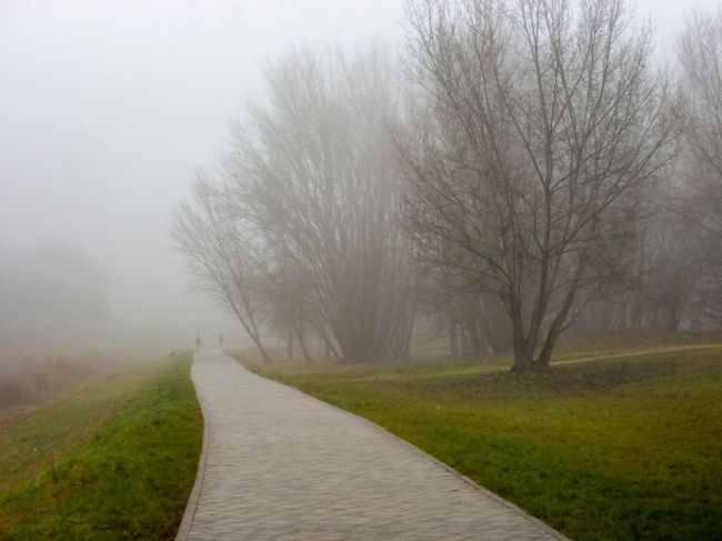 Naďalej platia výstrahy pred hmlou, v niektorých okresoch aj pred vetrom