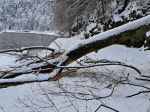 Správa PIENAP-u upozorňuje na vyvrátené stromy i práce na Pieninskej ceste