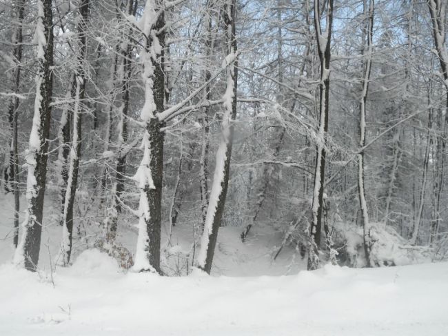 Miestami môže napadnúť pol metra nového snehu, v Tatrách prevláda riziko lavín