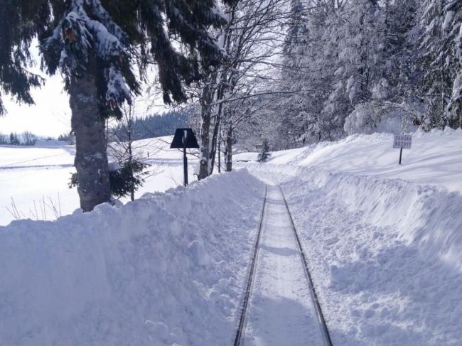 Oravská lesná železnica je z dôvodu snehovej kalamity stále uzavretá
