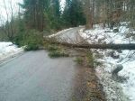 V niektorých okresoch naďalej platia výstrahy pred vetrom na horách, miestami hrozí víchrica