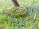 Ako sa zbaviť machu na trávniku? Takto získate zelenší trávnik