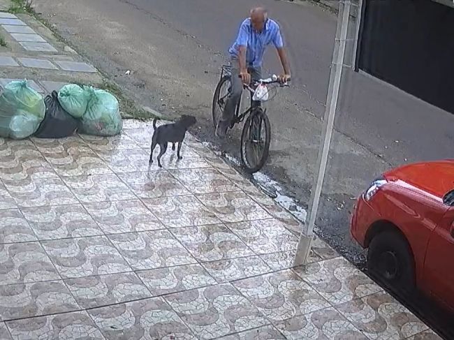 Video: Cyklista zastal vedľa psa, aby ho zbil. Takto reagovala majiteľka