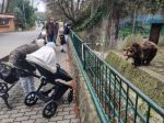 Zoo Bratislava otvára 63. sezónu, pre návštevníkov je pripravený program