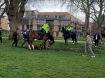 Pes zaútočil na policajného koňa, reakcia majiteľa prekvapila policajtov aj verejnosť