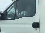 Policajti neverili vlastným očiam. Toto robil vodič počas jazdy
