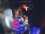 Polícia pri akcii Doga odhalila 11 vodičov pod vplyvom omamných látok