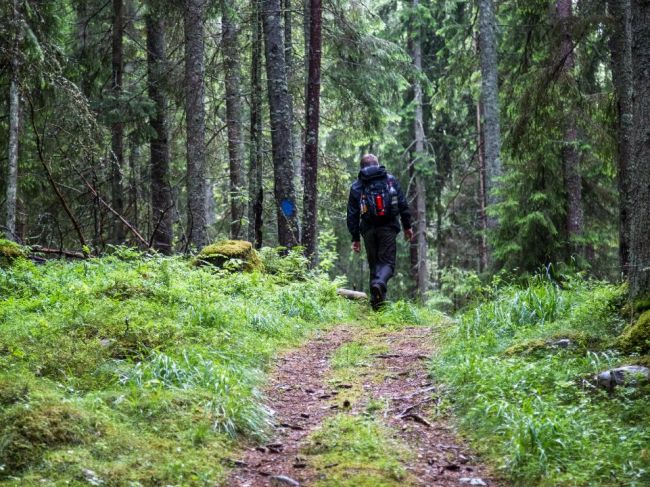 Samospráva reaguje na nedávnu nehodu: Pri pohybe v lese si dávajte pozor!