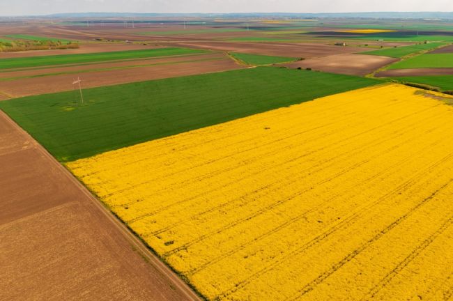 EÚ zakázala dovoz štyroch agroproduktov z Ukrajiny do piatich krajín vrátane Slovenska