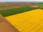 EÚ zakázala dovoz štyroch agroproduktov z Ukrajiny do piatich krajín vrátane Slovenska