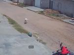Video: Motorkárka brala nohy na plecia, na ulici po nej vyštartoval pitbul