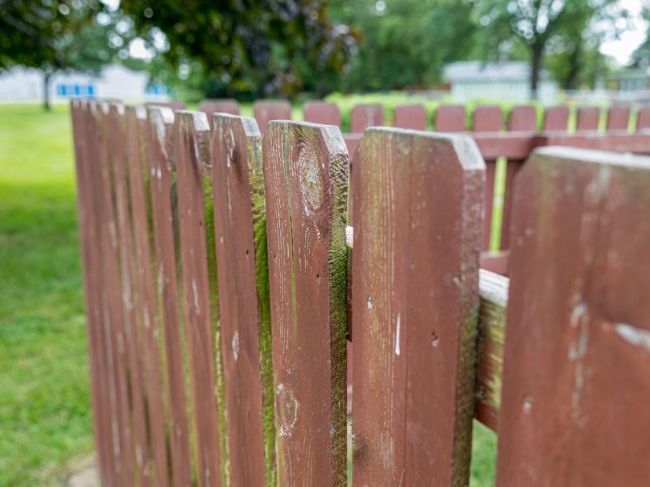Keď sa drevený plot zazelenie: Takto z neho odstránite nevzhľadné zelené riasy aj mach