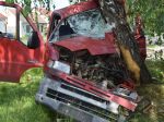 Polícia hľadá svedkov nehody, pri ktorej narazilo auto do stromu