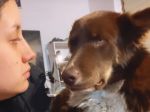 Video: Žena pobozkala svojho psa. Reakcia na druhú pusu ju prekvapila