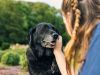 Ako sa starať o staršieho psa: Na toto nesmiete zabudnúť, môžete mu predĺžiť život
