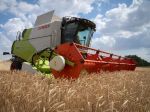 Európska komisia predĺžila obmedzenia dovozu 4 agrokomodít z Ukrajiny do 15. septembra