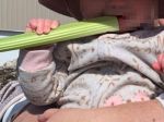 Dieťa jedlo zeler na slnku. Matka varuje pred hrozivými následkami