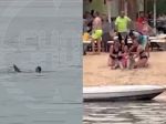 Tragédia na hotelovej pláži: Žralok roztrhal turistu