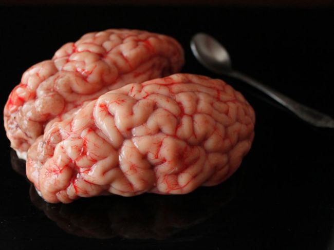 7 jedál, z ktorých najrýchlejšie starne mozog: Druhý bod vás prekvapí!