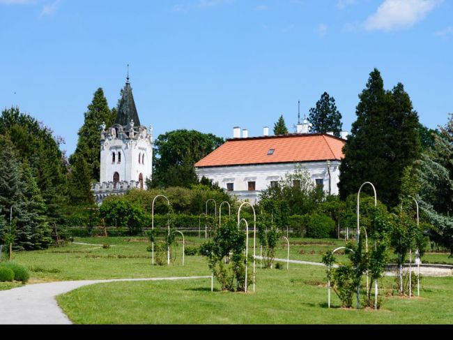 Arborétum v Mlyňanoch patrí počas víkendu kvetom. Ponúka výstavu ruží i súťaž o najkrajší kvet