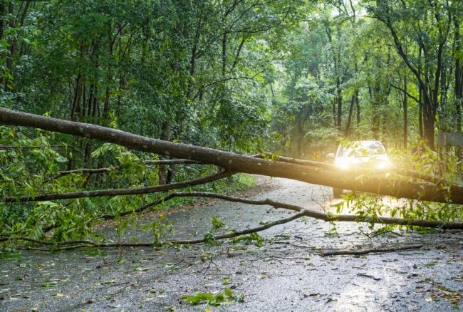 Búrky a popadané stromy komplikujú dopravu. Najhoršia situácia je v týchto okresoch