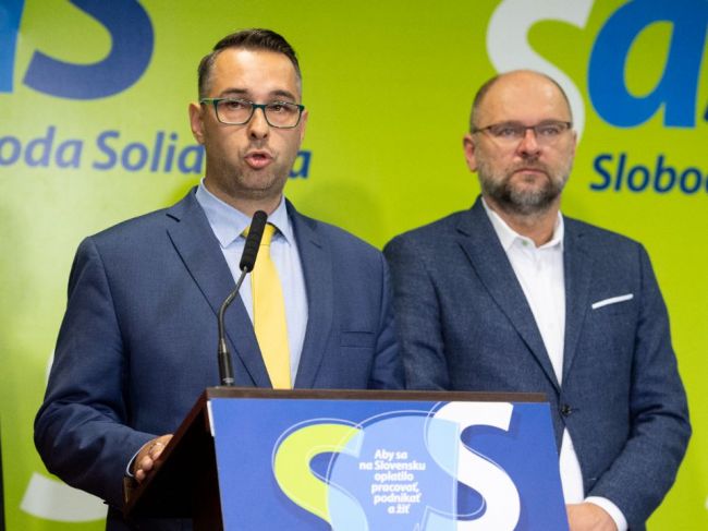 SaS predstavila programové priority v zdravotníctve a sociálnych veciach