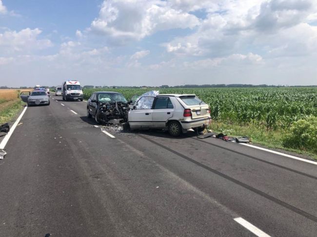 Tragická nehoda so srnou mala za následok úmrtie vodiča, druhý bojuje o život