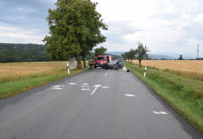 Vodič auta neprežil náraz do stromu