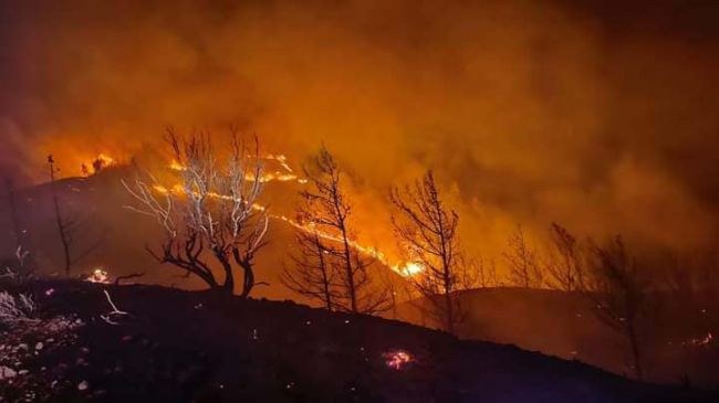 Slovenskí hasiči budú nasadení na boj s lesným požiarom na ostrove Rodos