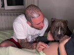 Video: Pitbul počul tlkot srdca bábätka v brušku ženy. Jeho reakciu musíte vidieť